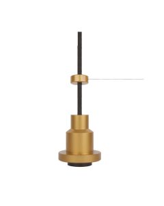Vintage 1906 Pendulum Pro Gold 4058075800663