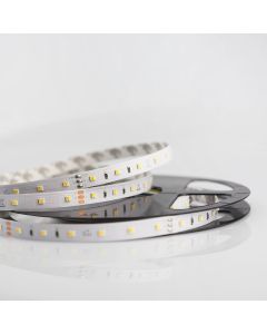 Led Strip Tunable White 24v 12w Ip65 Waterproofed Ledcltw128120np65