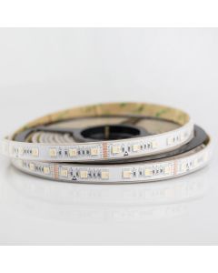 Led Strip Rgbtw 24v Ip65 24w With 5in1 Chips Ledcls24rgbtwp65